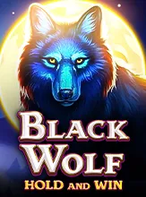 Black Wolf